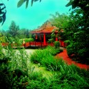 China Paradise