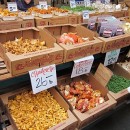 IMG_0734